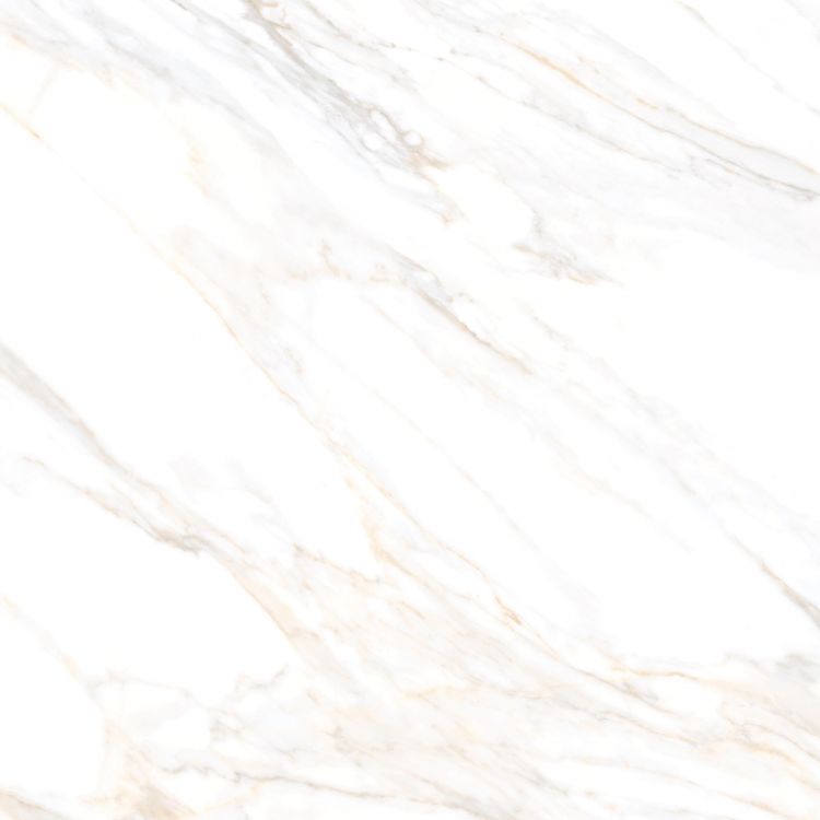 Aurum Calacatta Polished 36 x 36